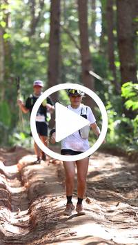 BIB:  <button type="button" onclick="openModal(26569520)" class="btn btn-primary btn-sm float-right" data-toggle="modal" data-target=".modal-high-quality">
                <i class="fa fa-download"></i> Download
                </button>